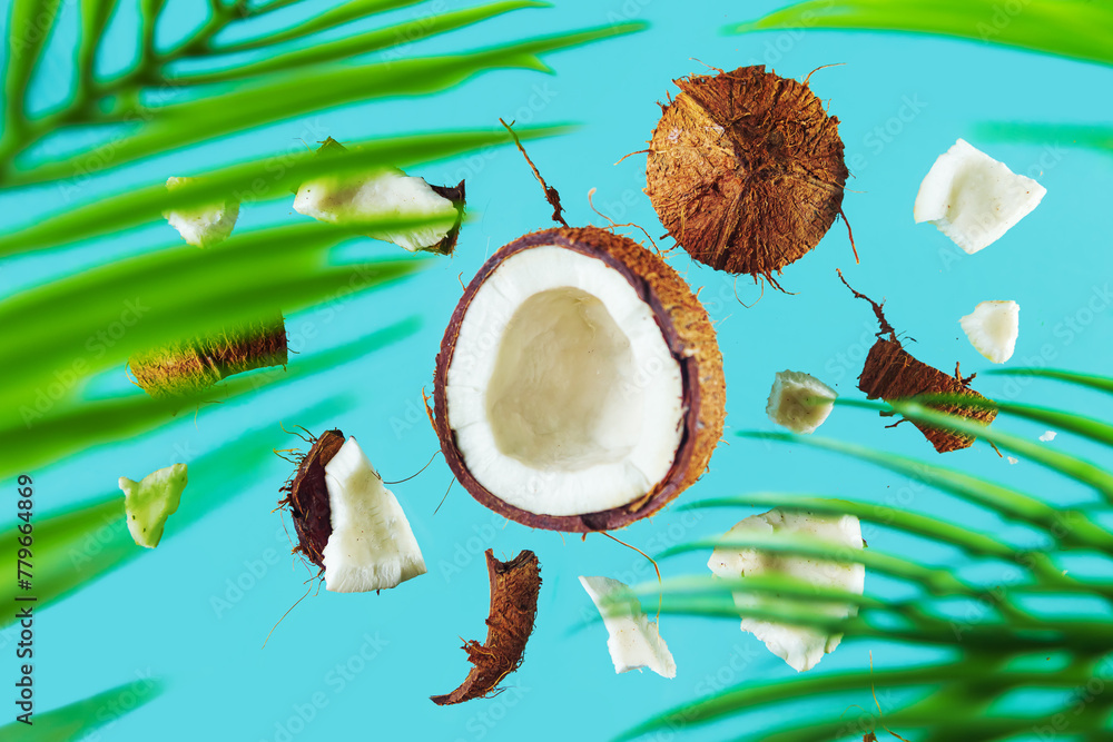 Broken coconut and palm leaf on a blue background. Broken coconut and palm leaf on a blue background.