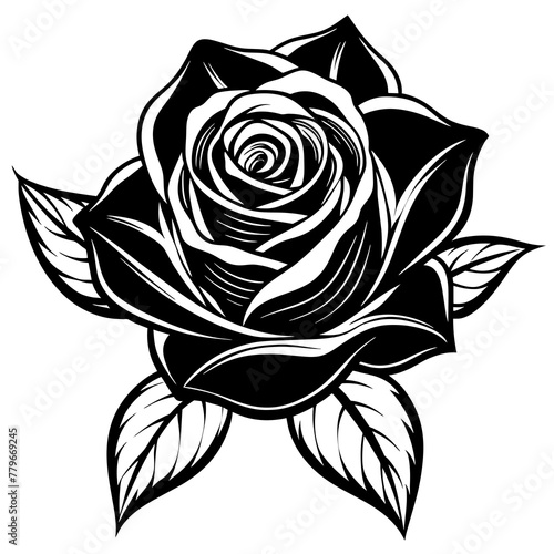   Flower vector illustration.
