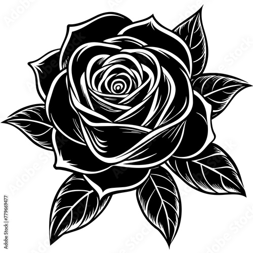    Flower vector illustration.
