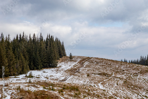 the road along the mountain forest, the snow melts in the spring