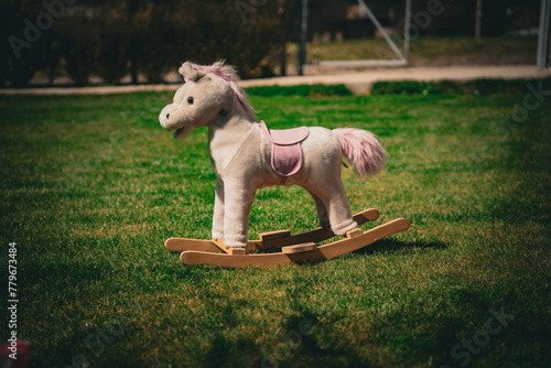 white horse on the meadow
