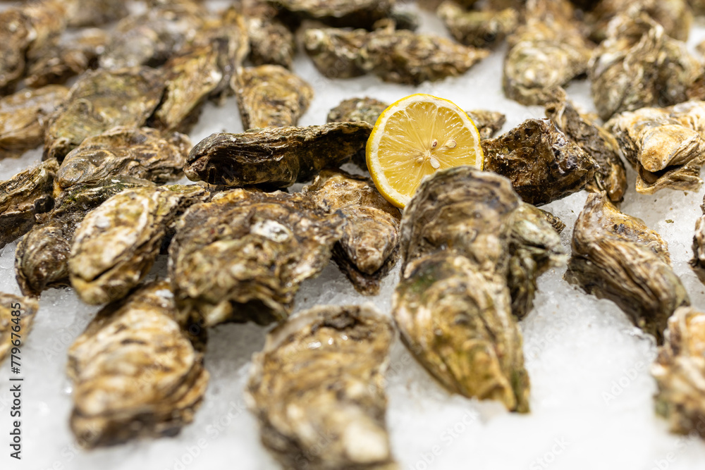 Fresh Oysters on the counter on ice in store. Oysters for sale at the seafood market. Aphrodisiac sea restaurant, expensive fresh food, dish menu Fresh Oysters on the counter on ice in store. Oysters for sale at the seafood market. Aphrodisiac sea restaurant, expensive fresh food, dish menu