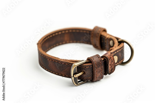 White background with leather dog collar