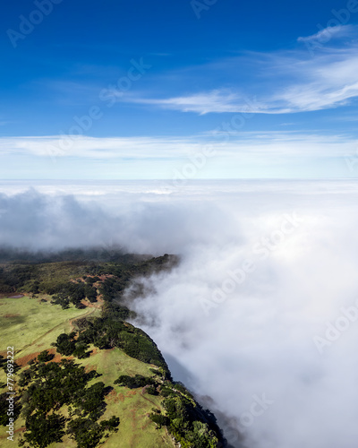Fanal Forest Clouds 4