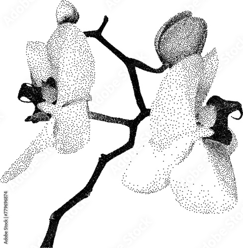 Grunge grain orchid with a xerox or grainy photocopy effect. Dotted flower with halftone stipple effect for gothic collage design. Vector illustration.	