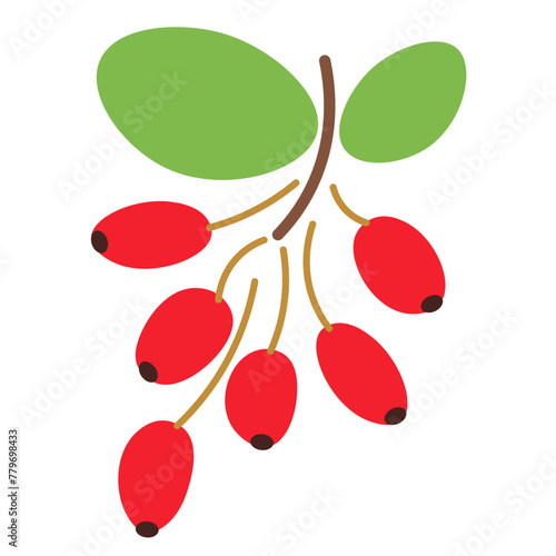 color isolated barberry in flat shape style in vector. image of natural healthy eco food.template for logo sticker poster print decor design