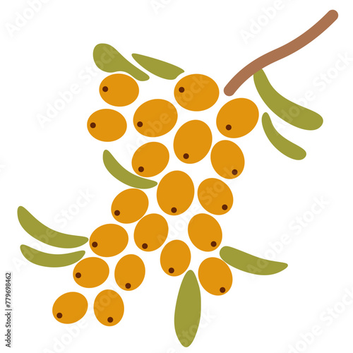 color isolated sea buckthorn berry in flat shape style in vector. image of natural healthy eco food.template for logo sticker poster print decor design