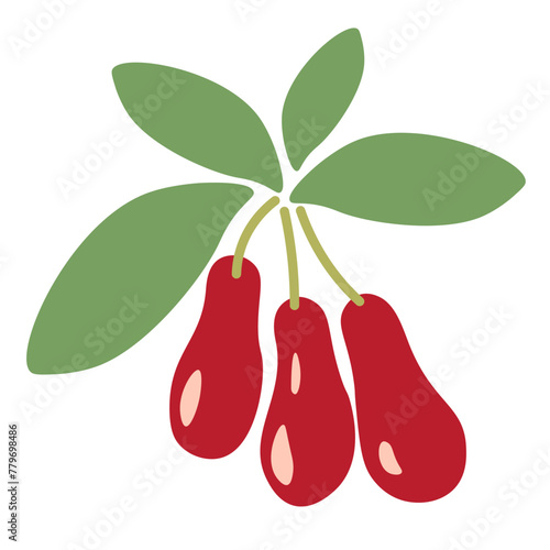 color isolated dogwood berry in flat shape style in vector. image of natural healthy eco food.template for logo sticker poster print decor design