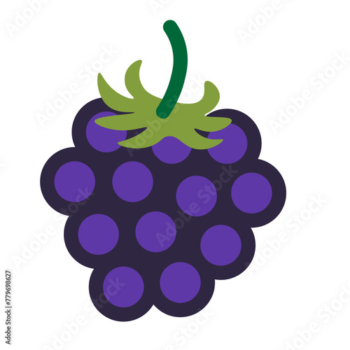 color isolated blackberry in flat shape style in vector. image of natural healthy eco food.template for logo sticker poster print decor design
