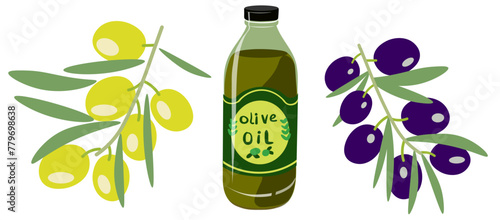 color isolated bottle of olive oil and olive blanches in flat shape style in vector. image of natural healthy eco food.template for logo sticker poster print decor design