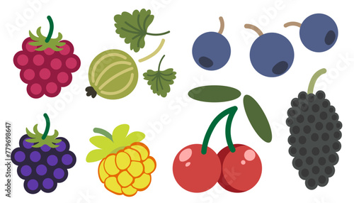 set of color isolated berries in flat shape style in vector. image of natural healthy eco food.template for logo sticker poster print decor design