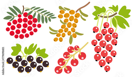 set of color isolated berries in flat shape style in vector. image of natural healthy eco food.template for logo sticker poster print decor design