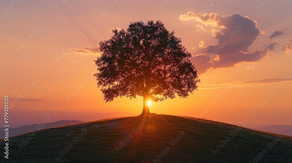 A tree is silhouetted against a beautiful sunset. The tree is the main focus of the image, and it is standing on a hill. The sky is filled with clouds, and the sun is setting
