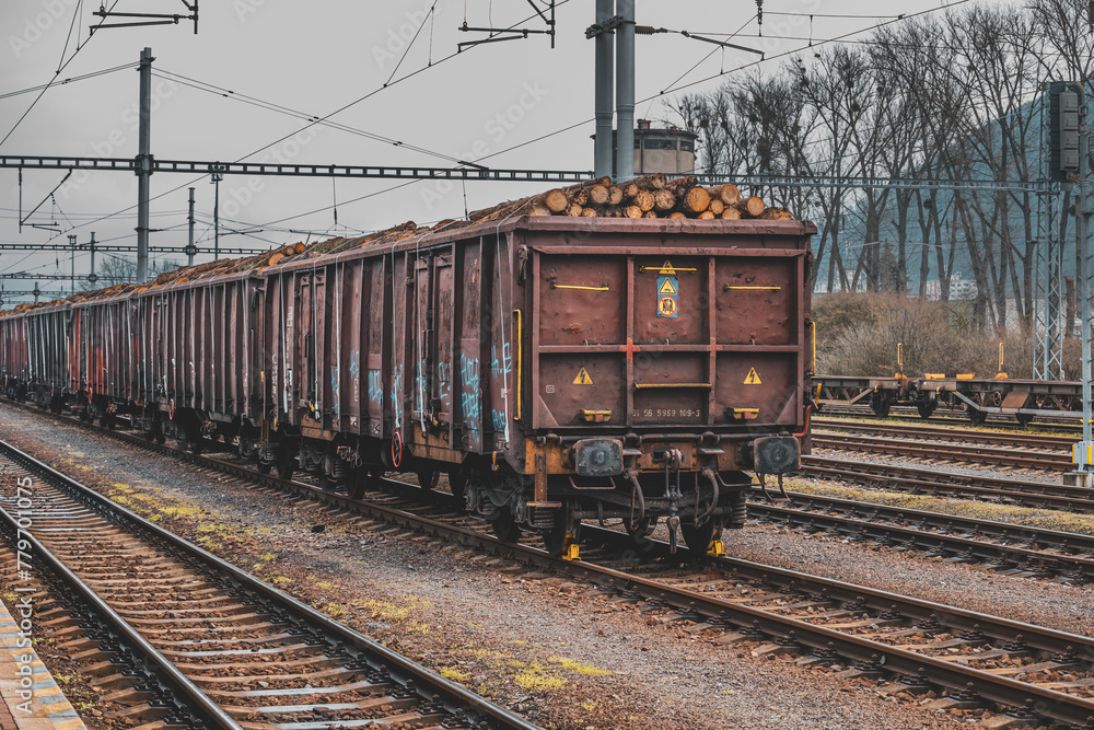 Obraz premium Timber on the freight train. Transportation and sustainable development theme. Spring foggy morning at the train station. Rail transport. Wagons laden with wood.