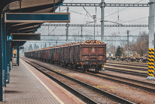 Timber on the freight train. Transportation and sustainable development theme. Spring foggy morning at the train station. Rail transport. Wagons laden with wood.