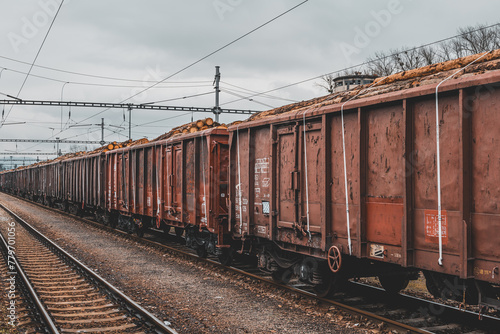 Timber on the freight train. Transportation and sustainable development theme. Spring foggy morning at the train station. Rail transport. Wagons laden with wood.