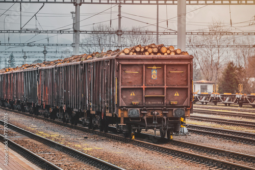 Timber on the freight train. Transportation and sustainable development theme. Spring foggy morning at the train station. Rail transport. Wagons laden with wood.