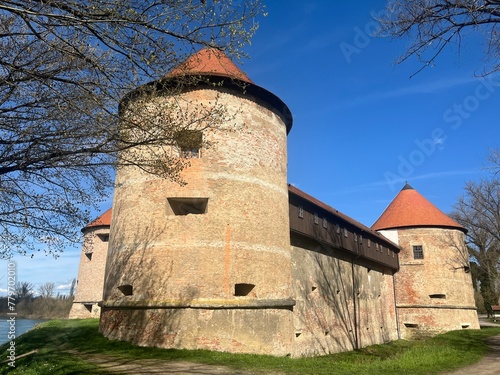 Obraz na płótnie Sisak old town in Sisak, Croatia w salonie