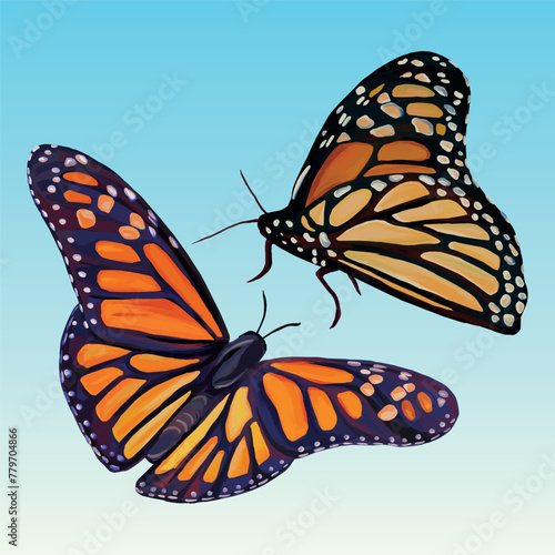 Set of butterflies