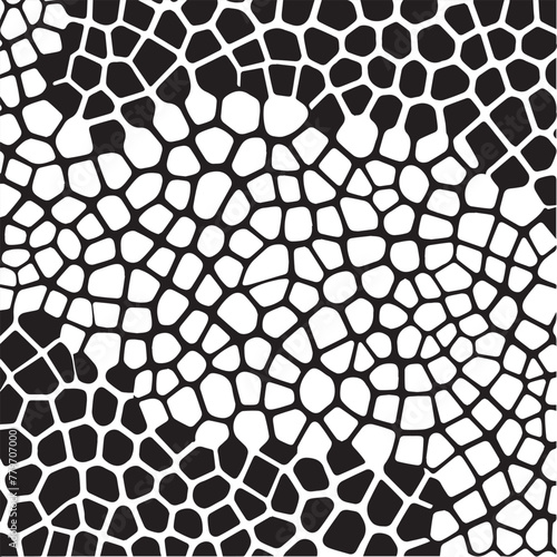 Vector Patterns: Abstract Collection in Black and White