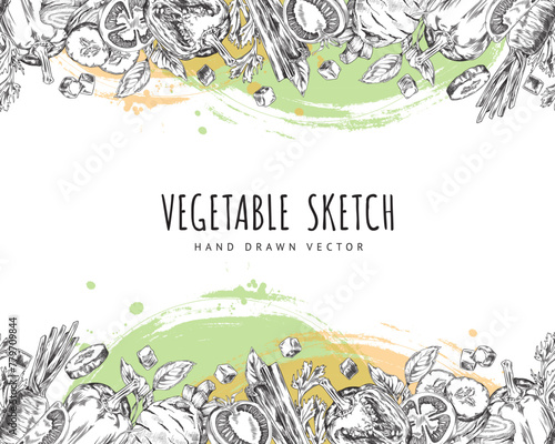 Assorted vegetable sketches vector set