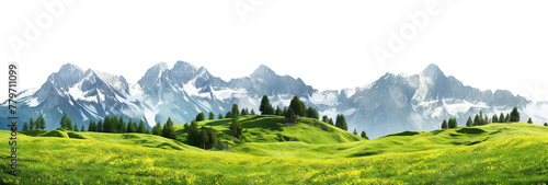 Serene alpine meadow with sprawling green grass and majestic snow-capped mountains in the distance, cut out