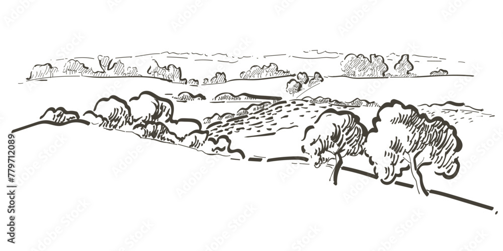 Grass on the fields hill landscape. Set of fruit trees: olive, apple, plum, apricot. Orchard, grove. Vector realistic black and white vintage sketch illustration - obrazy, fototapety, plakaty 