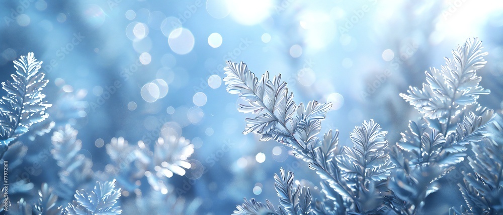 Silver Luster: Delicate silver particles cascade over fir leaves, imbuing them with a celestial glow. Silver Luster: Delicate silver particles cascade over fir leaves, imbuing them with a celestial glow.