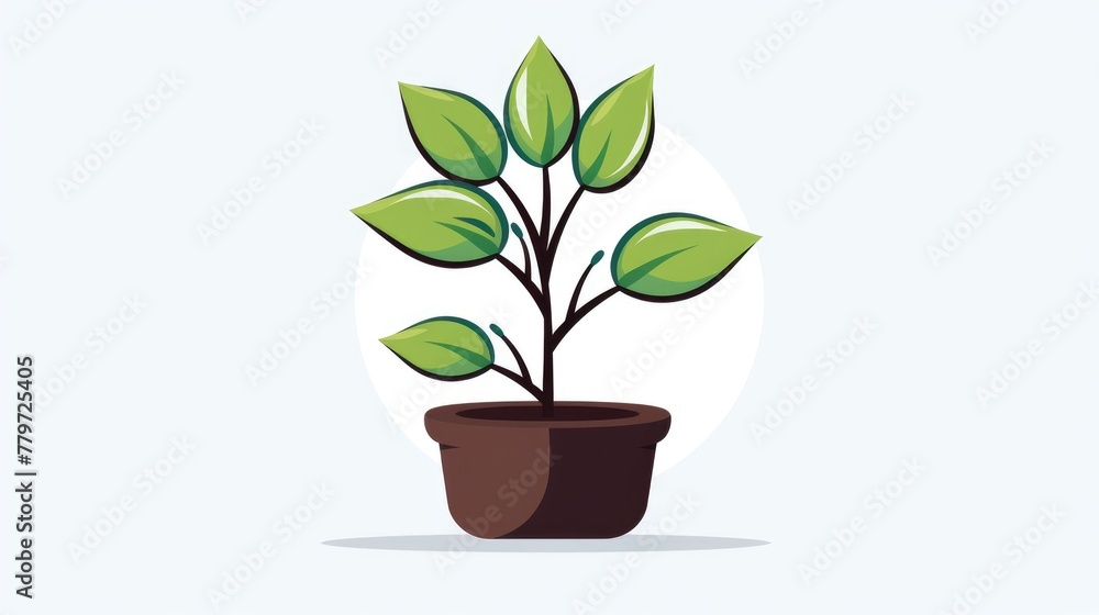 plant in a pot plant in a pot
