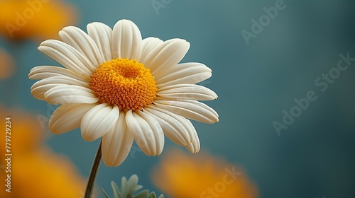 A single daisy placed against a clean background. AI generate illustration