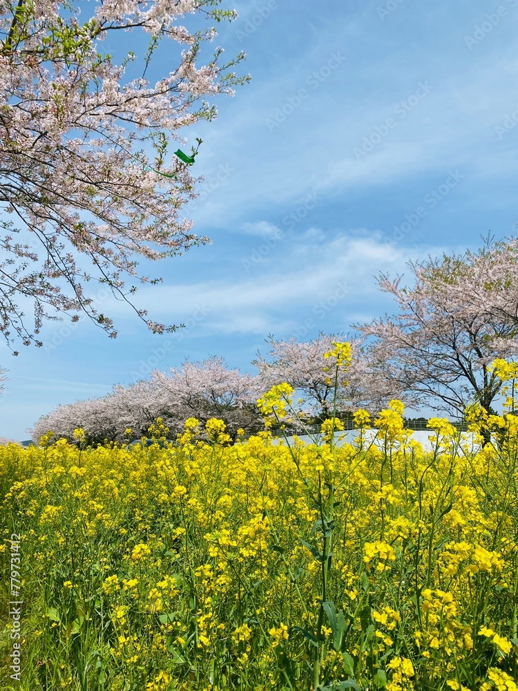 제주 녹산로 제주 녹산로