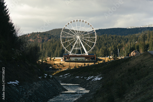 wheel in the forest