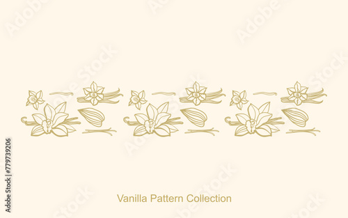 Isolated vector set of vanilla. Gold vanilla sticks, vanilla flower and pods. Aroma, food, cookery. Hand drawn. Vector pattern illustration of vanilla flower, bean and pods on isolated background.