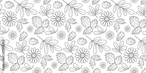 Seamless floral pattern of chamomile with leaves isolated on white background. Vector editable pattern in doodle style. Natural eco-friendly design for packaging  cover  paper  pharmacy  fabric