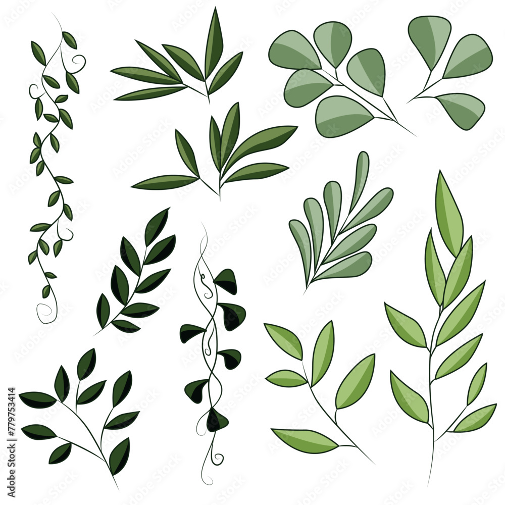 Set of green leaves on branches. Spring and summer plants hand drawn in vector. Eco-friendly plant icons.