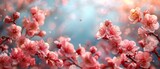 A mysterious spring floral background with blooming pink sakura flowers on a sunny day