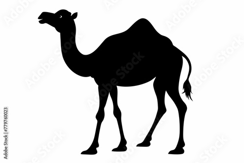 camel-silhouette-vector illustration