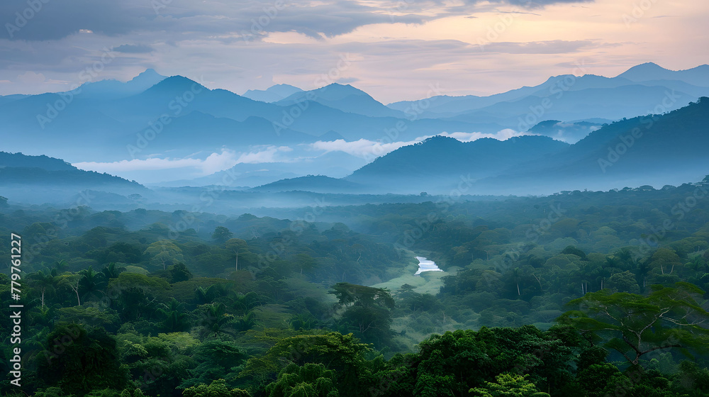 Obraz premium Aerial view of a landscape of a river crossing a jungle and in the background some mountains with a sky with clouds