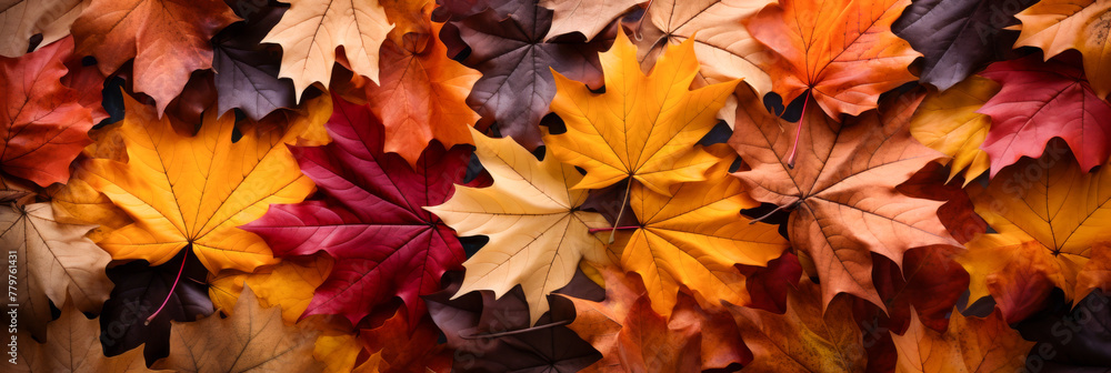 Vivid Autumn Leaves Close-Up with Texture and Color Depth Vivid Autumn Leaves Close-Up with Texture and Color Depth