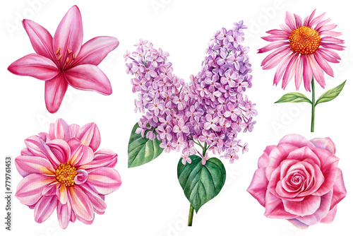 Beautiful Floral set. Dahlia, lilac, rose and lily flower isolated white background. Hand drawn watercolor illustration