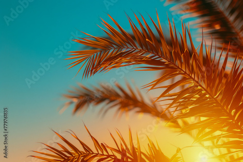 Tropical Sunset Silhouettes: Palm Fronds Against Warm Sky © smth.design