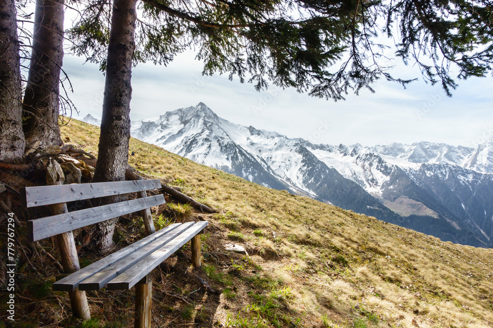 herrlicher versteckter Rastplatz unter einem Baum mit Aussicht auf die Berge