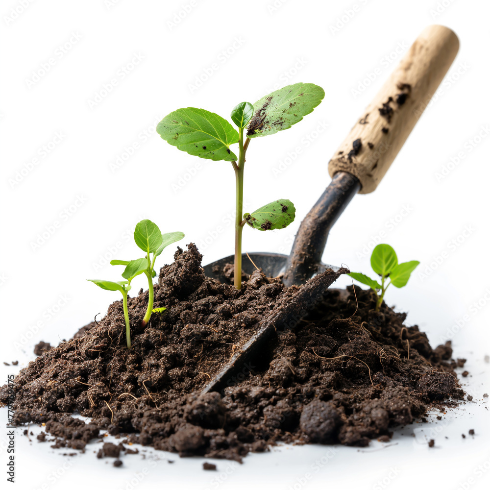 People plant seedlings in the ground for spring growth. Surrounded by young leaves and organic vegetables. Planting. People plant seedlings in the ground for spring growth. Surrounded by young leaves and organic vegetables. Planting.