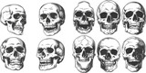  Human skeleton dead head halloween engraving vector set