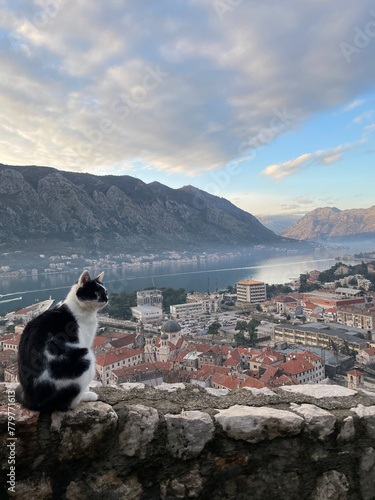 view from the top of the mountain in the Kotor