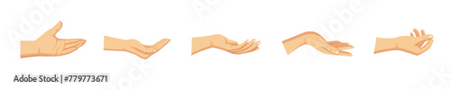 Vector protecting hands set icon. Cupped hands