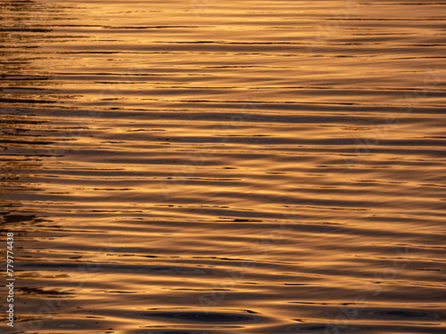 Wavy water surface with golden sun reflection and dark shadows. Gold light in water