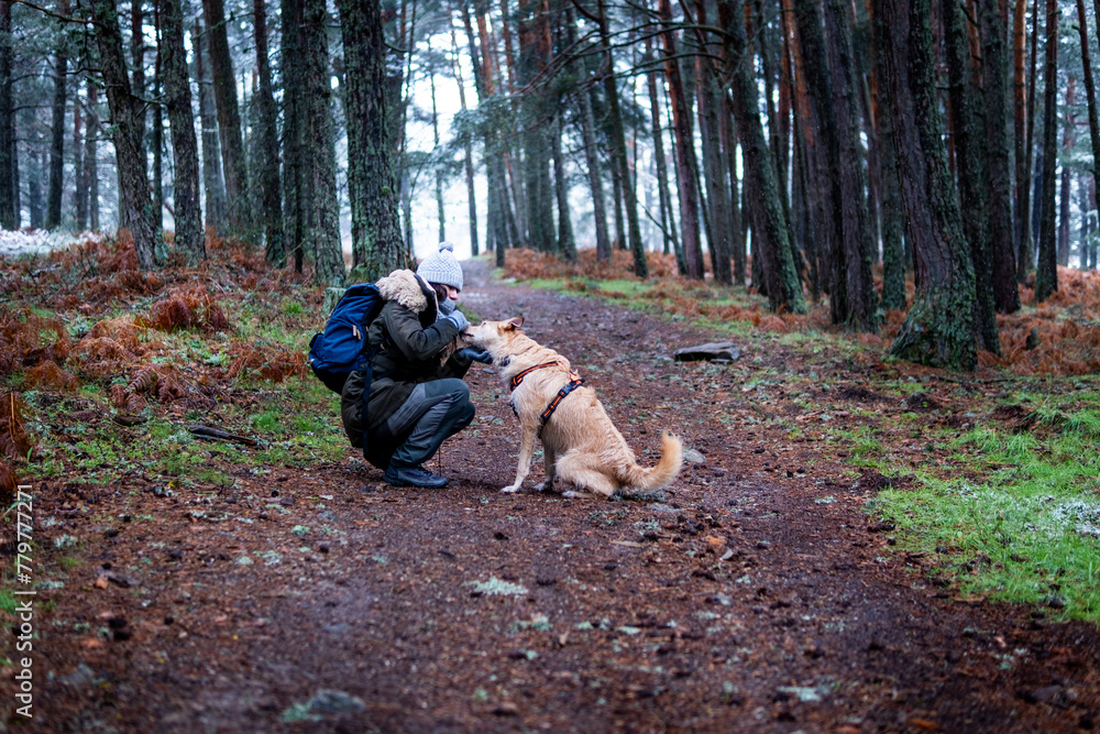 Woman with brown hair, playing with her mixed-breed dog, promoting eco-tourism in Madrid's Sierra. Woman with brown hair, playing with her mixed-breed dog, promoting eco-tourism in Madrid's Sierra.