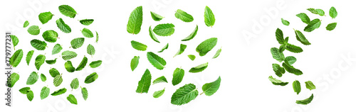 Falling mint leaves, spearmint
