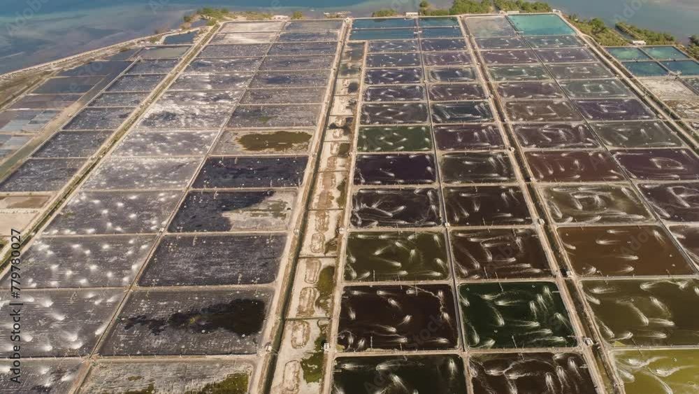 shrimp farm, prawn farming with with aerator pump oxygenation water near ocean. aerial view fish farm with ponds growing fish and shrimp and other seafood. Fish hatchery pond aerial view aquaculture shrimp farm, prawn farming with with aerator pump oxygenation water near ocean. aerial view fish farm with ponds growing fish and shrimp and other seafood. Fish hatchery pond aerial view aquaculture